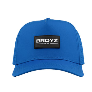 BRDYZ 3.0